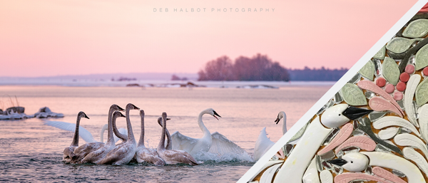 Swans in a lake inspiring a swan tile