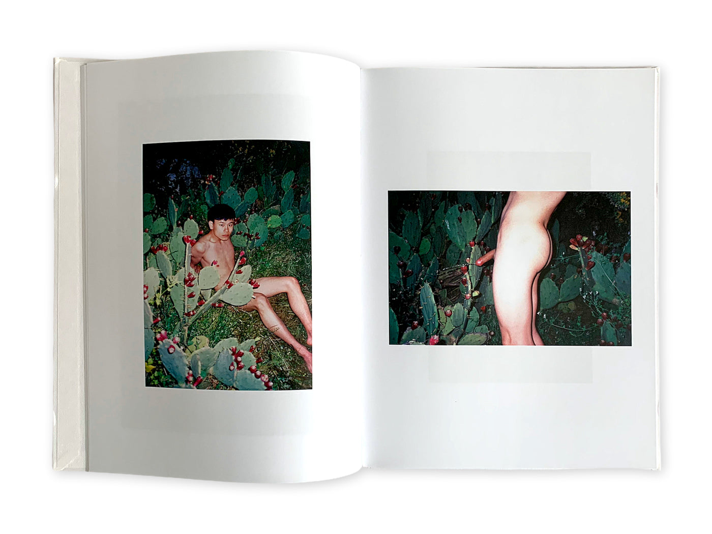 Ren Hang - Athens Love – Copula