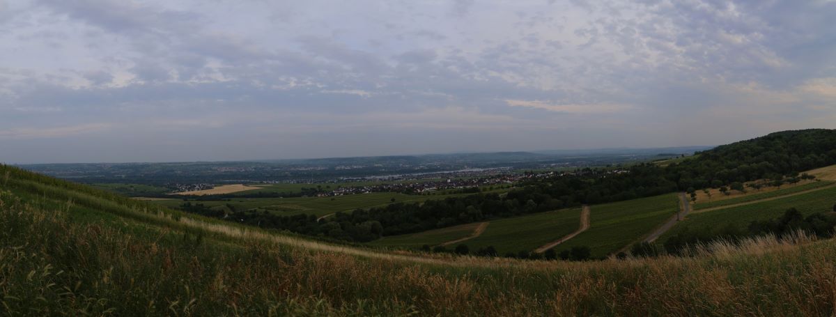 Panorama Fotografie Rheingau