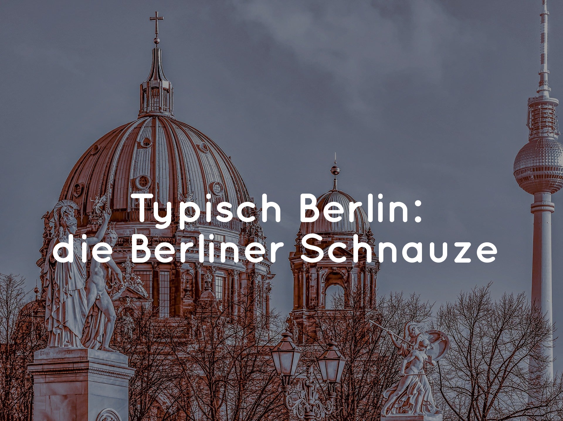 Berliner Schnauze in Berlin