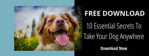 10 essential secrets to take your dog anywhere - free download