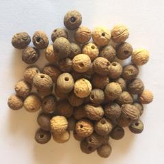 Banyan Seeds