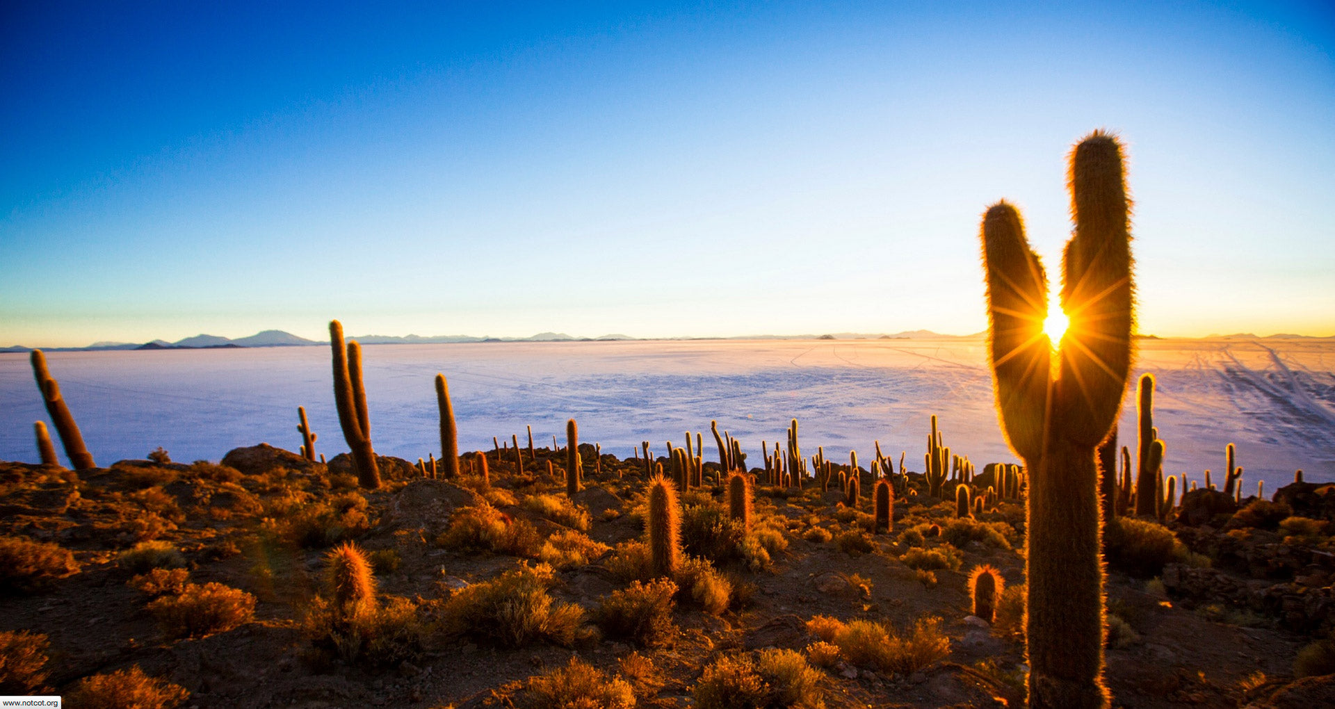 Panorama of the Salar de Uyuni