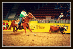 breakaway roping college finals 