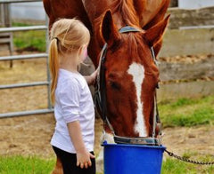 horse girl grain