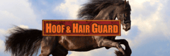 hair growth horse