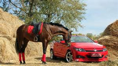 high performance horse and car