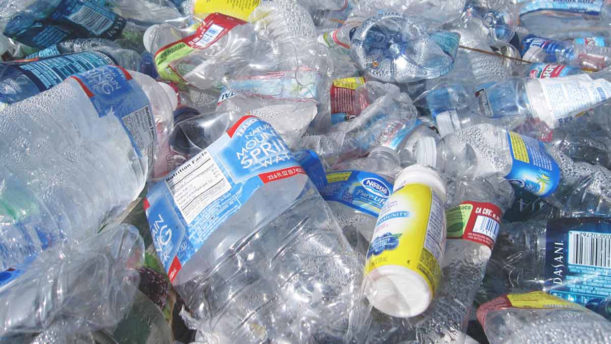 are plastic water bottles safe for dogs to chew