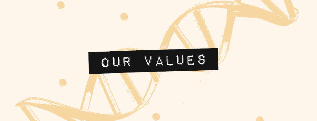 Our Culture - Values