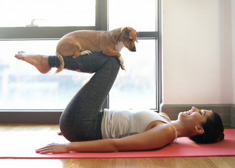 Lady practicing yoga with her dog.