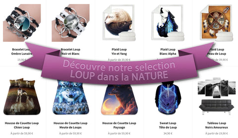 Selection article loup nature