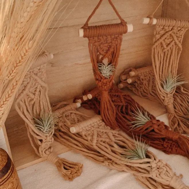 Macrame Air Plant Hanger | latte