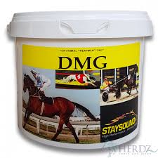 Dmg Injection For Horses