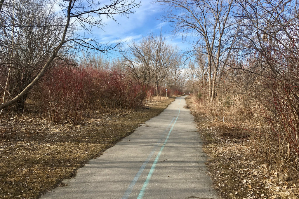 Rollerblading on the Martin Goodman Trail near Cherry Beach