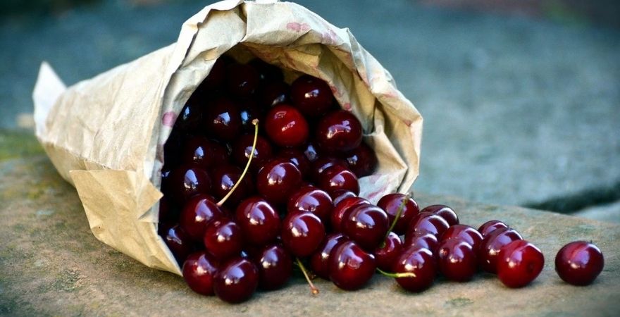can dogs eat frozen cherries