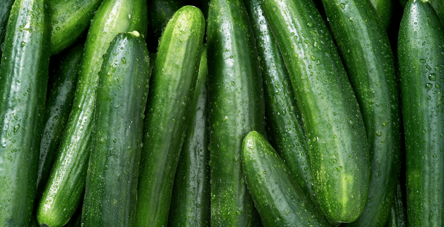 are cucumber peels safe for dogs