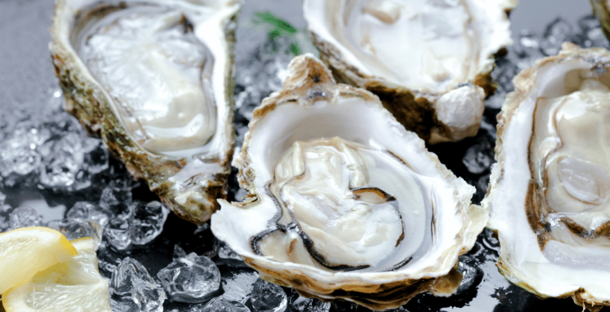 Can Dogs Eat Oyster Shells