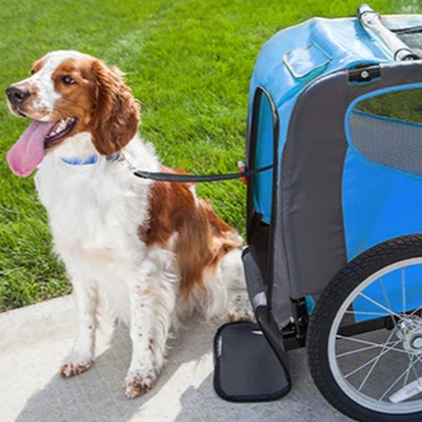 can you put dog in a human bike trailer