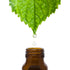 Basil Essential Oil