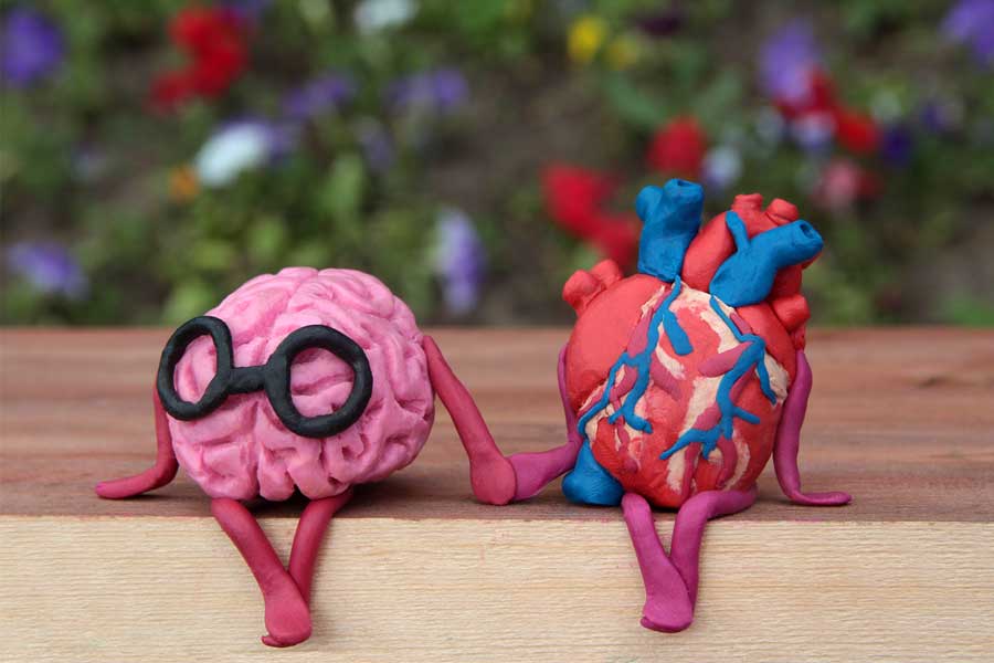 Clay sculpture brain, heart, Brain Chemistry & Love