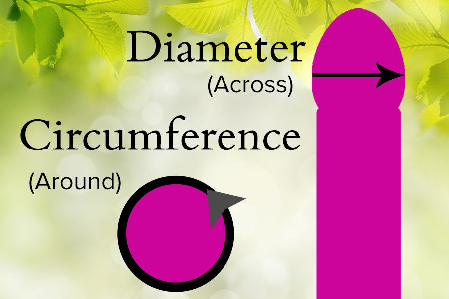 Dildo Diagram Diameter Vs. Circumference