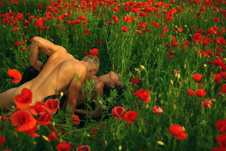 man and woman having sex in field, sex outdoors
