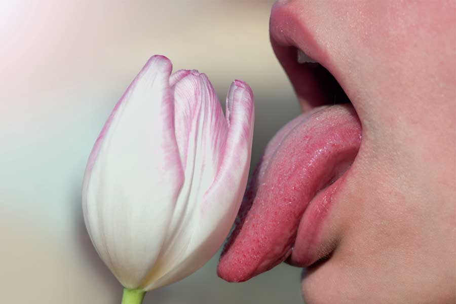 Flower, tongue, Fellatio: How To Give A Blowjob