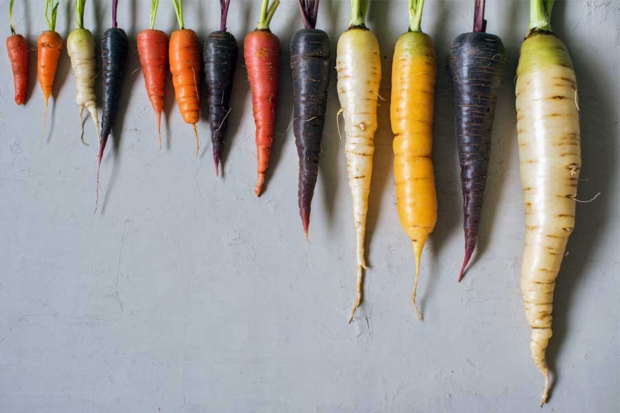 Different sized carrots, Penis Enlargement