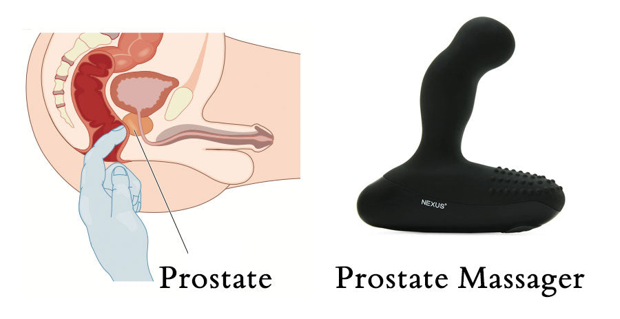 Diagram of Prostate Massager