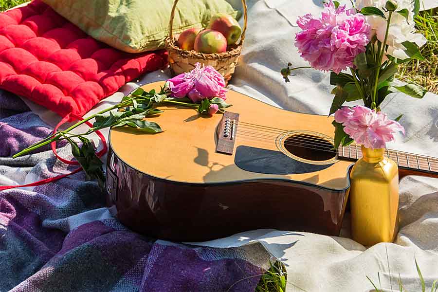 Picnic with Guitar, Sex & Sound