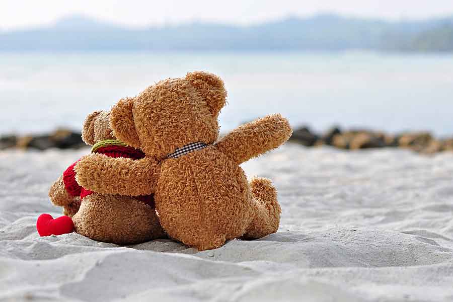 Teddy Bears On Beach, Romantic Getaways
