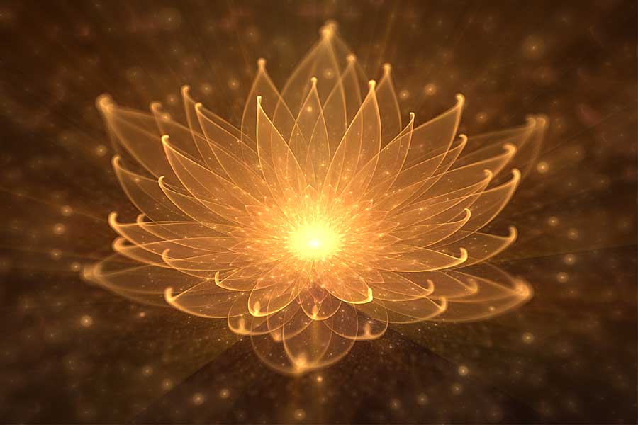 Glowing Lotus, Sex & Spirituality