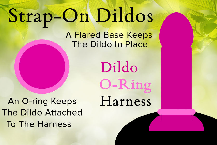 Measure Strap-On Dildo Diagram