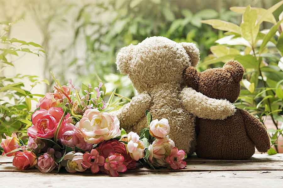 Teddy Bears Hugging, Stress & Sex