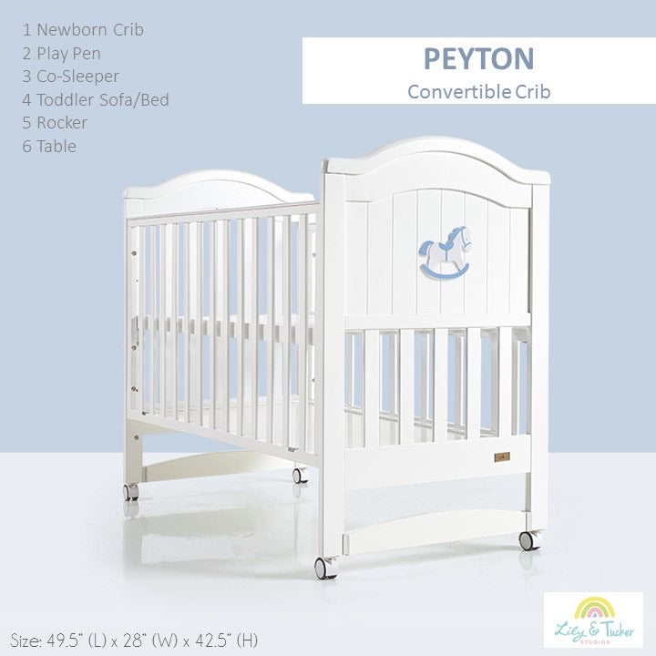 6 in 1 convertible crib