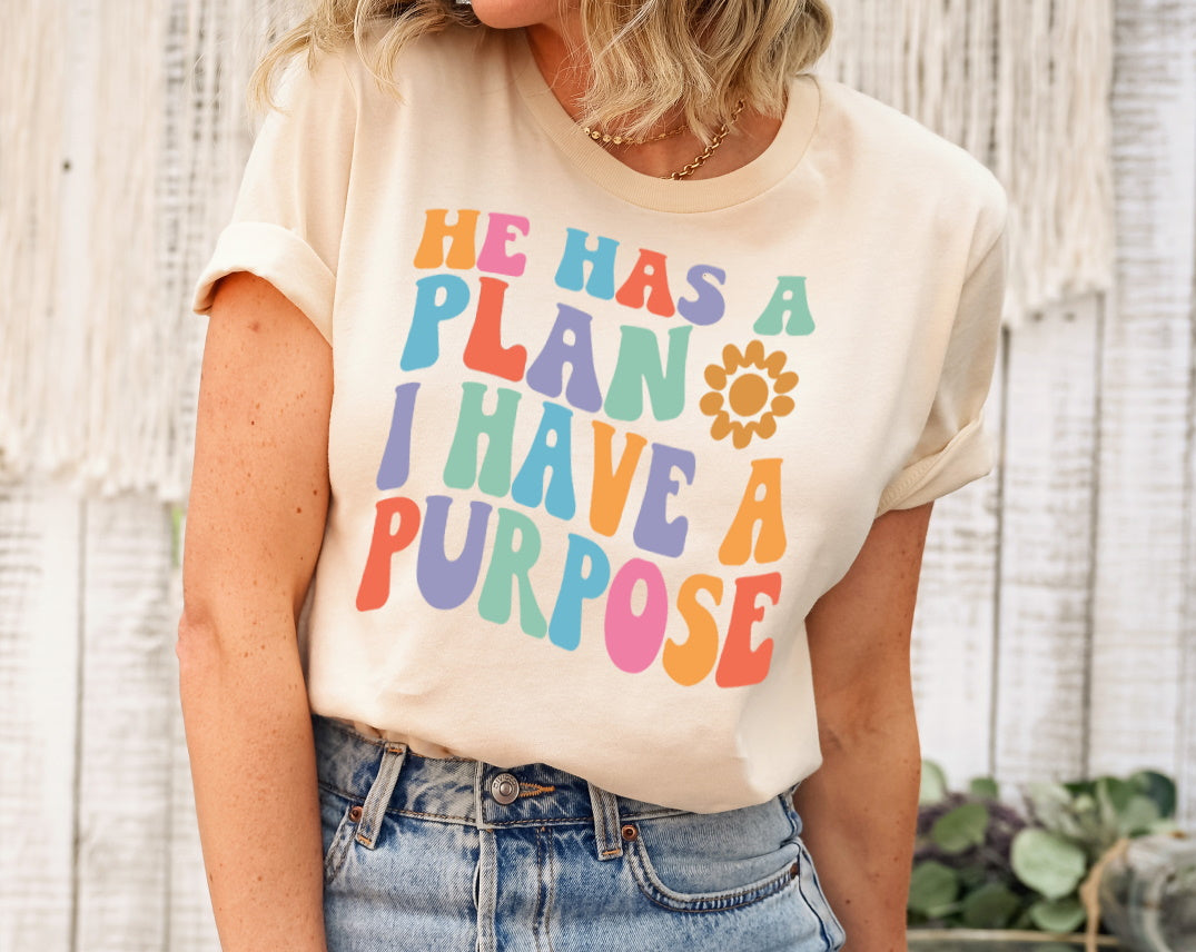 He Has A Plan I Have A Purpose Christian Shirt, Bible Shirt, Jesus