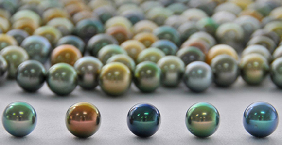 Delicious Colors and Breathtaking Overtones of the Fiji Pearls. Bashert Jewelery. Blog