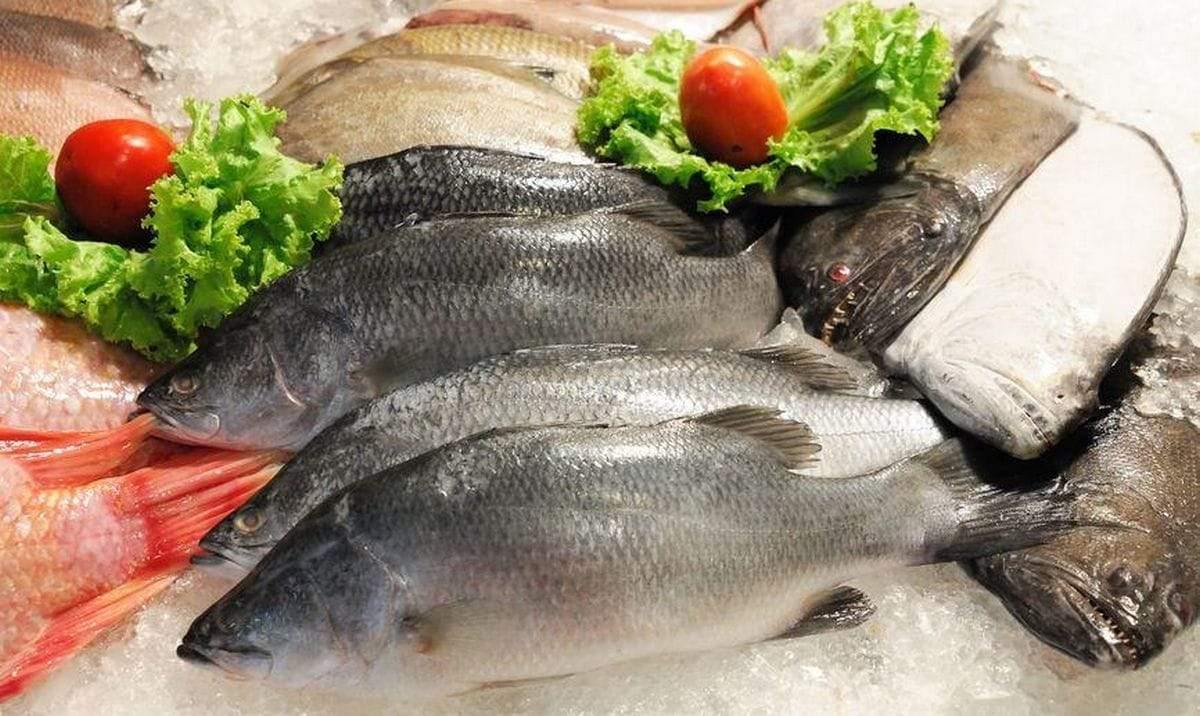 Polnischer Fisch