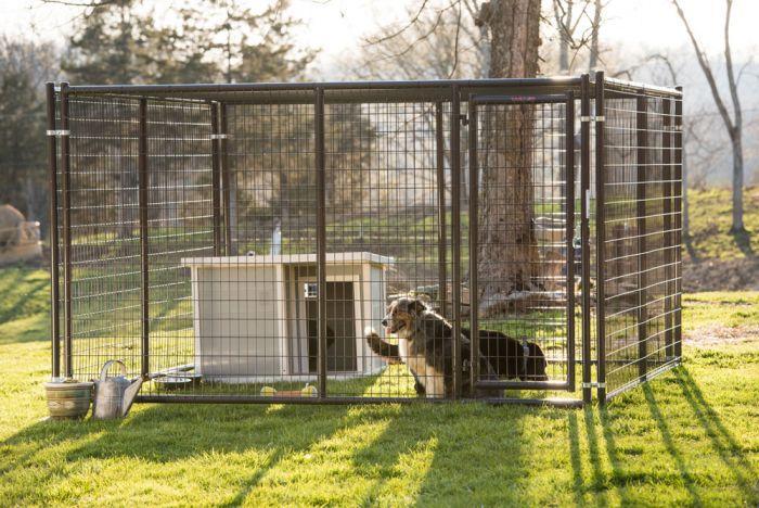 tarter dog kennel shade cover