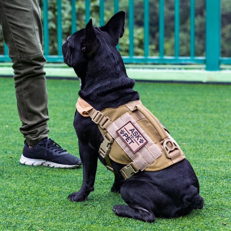 tactical dog vest for small dogs
