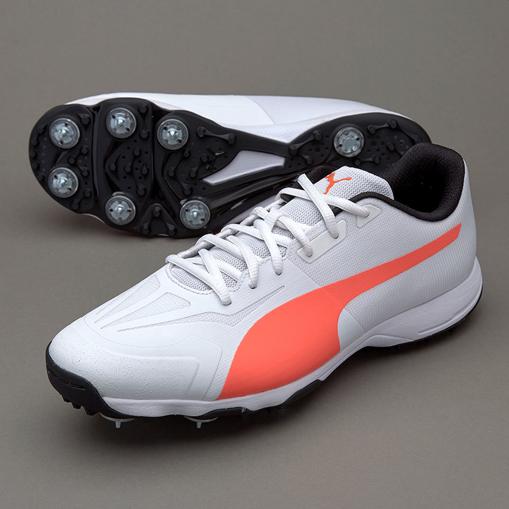 puma evospeed cricket shoes