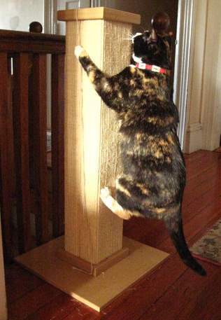 heavy duty cat scratching post