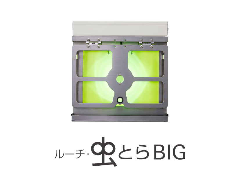 新商品 Ｌｕｃｉ 捕虫器 ルーチ 虫とら ＢＩＧ fisd.lk