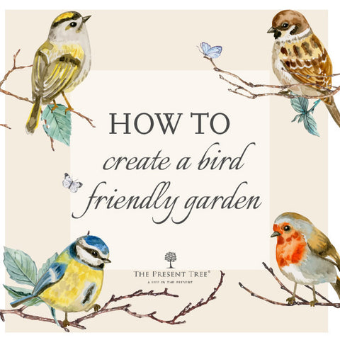 Bird Friendly Gardening