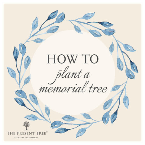 Planting a Memorial Tree
