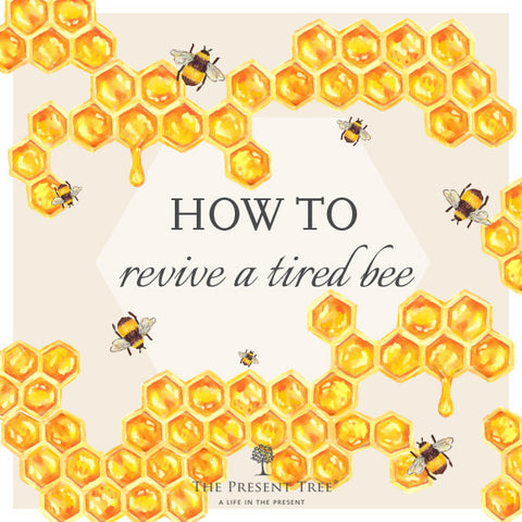 How to revive a tired bee
