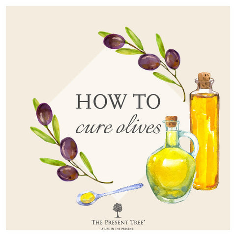 How to Cure Olives