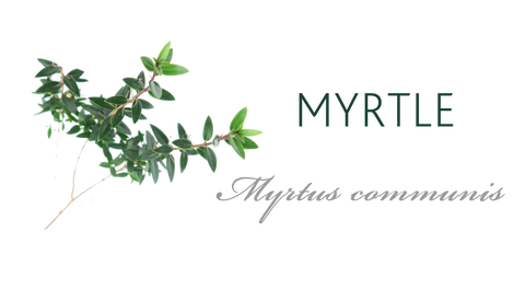 Myrtle tree meaning