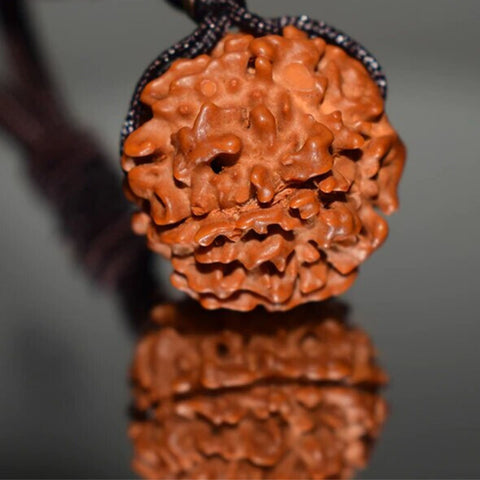 Rudraksha propriétés