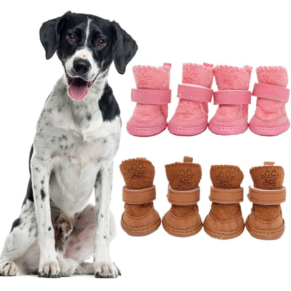 snow boots for labradors